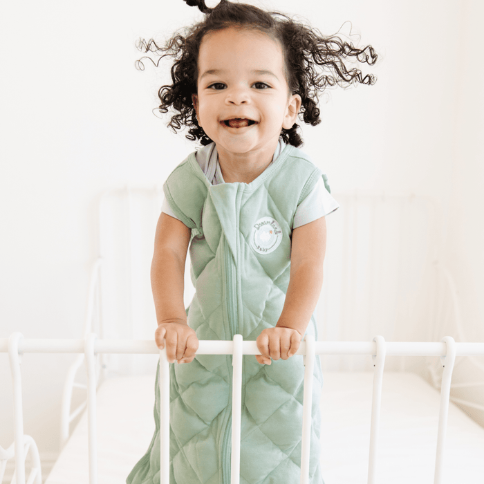 Dream Weighted Sleep Sack Sleep Sack Dreamland Baby