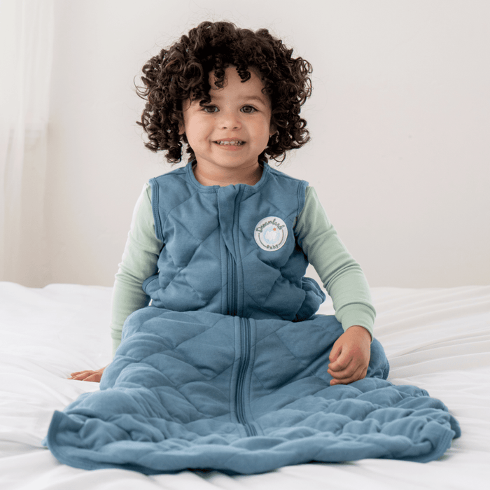 Dream Weighted Sleep Sack Sleep Sack Dreamland Baby