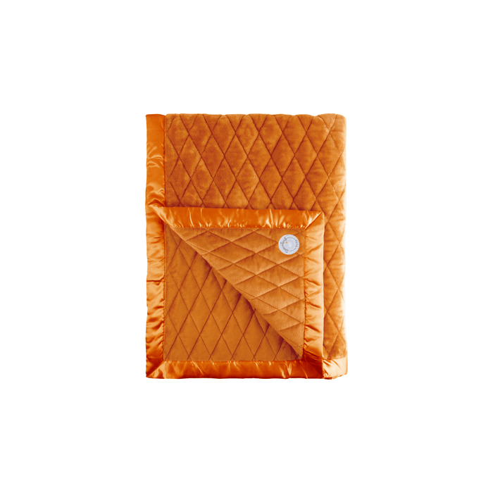 Weighted Toddler Blanket Rust Weighted Blanket Dreamland Baby