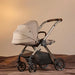 SILVER CROSS REEF 2 FULL SIZE STROLLER - NEW STROLLER SILVER CROSS