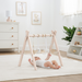 Baby Play Gym by Comfy Cubs in Blush Play Gym Comfy Cubs