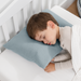 Toddler Pillows with Soft Muslin Pillow Case by Comfy Cubs - Pacific Blue Comfy Cubs