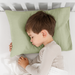 Toddler Pillows with Soft Muslin Pillow Case by Comfy Cubs - Sage Comfy Cubs