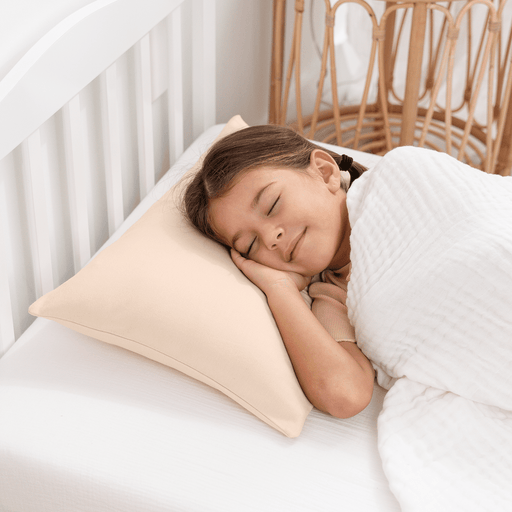 Toddler Pillows with Soft Cotton Pillow Case by Comfy Cubs - Cream Comfy Cubs