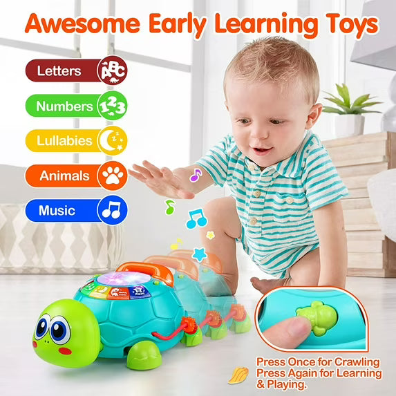 DBORKI 6IN1 CRAWLING PHONE TURTLE 18M+