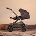 SILVER CROSS REEF 2 FULL SIZE STROLLER - NEW STROLLER SILVER CROSS