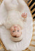 AURORA CLASSICS BABY FOOTIE JERSEY COTTON BUTTERFLY/ DRAGONFLY COLLECTION FOOTIE AURORA