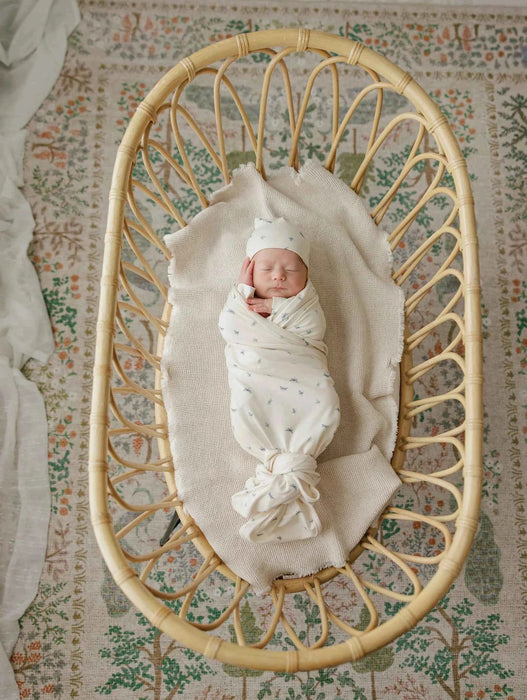 AURORA CLASSICS BABY FOOTIE + BEANIE JERSEY COTTON DRAGONFLY COLLECTION FOOTIE + BEANIE AURORA