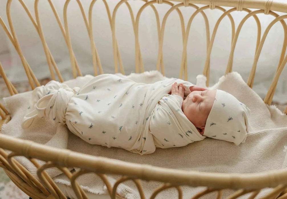 AURORA CLASSICS BABY FOOTIE + BEANIE JERSEY COTTON DRAGONFLY COLLECTION FOOTIE + BEANIE AURORA