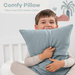 Toddler Pillows with Soft Muslin Pillow Case by Comfy Cubs - Pacific Blue Comfy Cubs