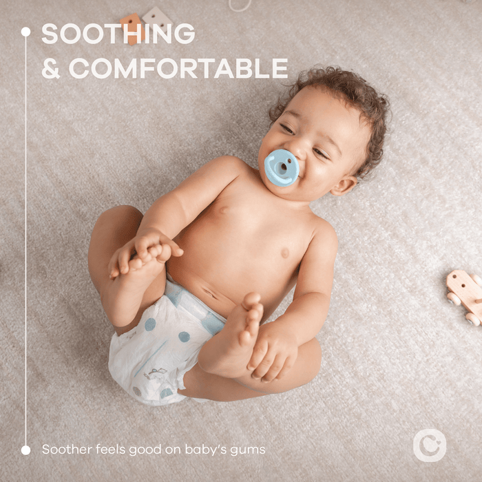 Pacifiers, 5 Pack by Comfy Cubs - Multicolor Boy Pacifiers Comfy Cubs