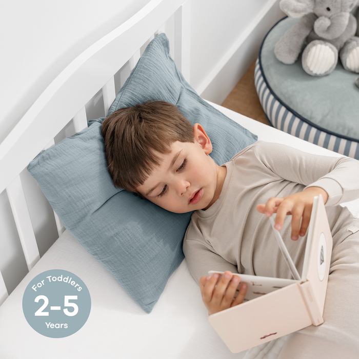 Toddler Pillows with Soft Muslin Pillow Case by Comfy Cubs - Pacific Blue Comfy Cubs
