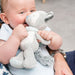 Nattou Cuddly Wolf Tim and Tiloo Baby Activity Toys M4A