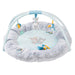 Nattou Playmat with Arch Tim and Tiloo Blue Play Gyms M4A