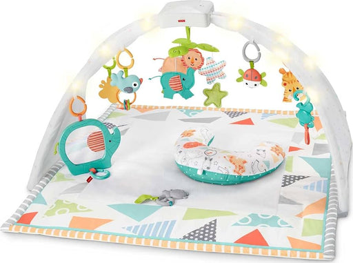 FISHER-PRICE SAFARI DREAMS MUSIC LIGHTS GYM