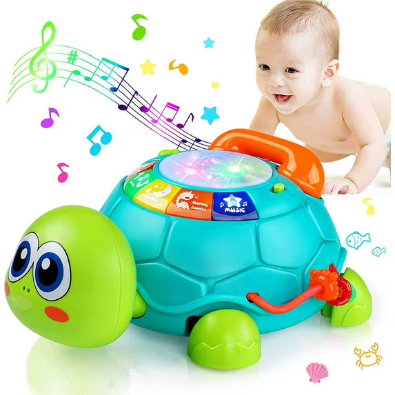 DBORKI 6IN1 CRAWLING PHONE TURTLE 18M+