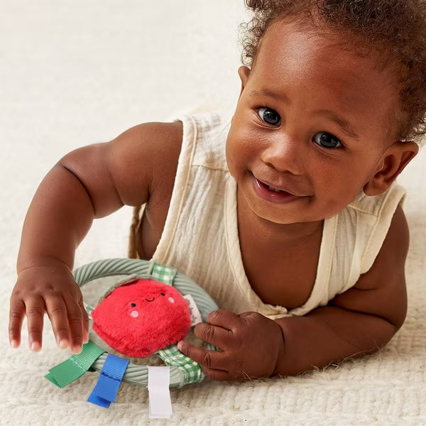 ITZY RITZY RING PAL BABY TEETHER TEETHERS ITZY RITZY