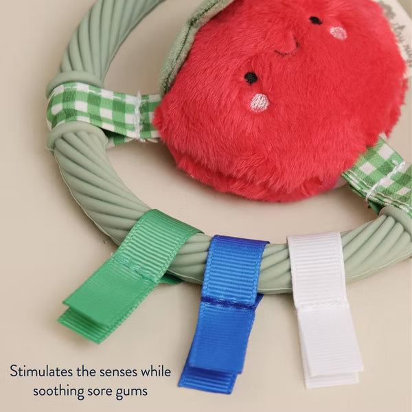 ITZY RITZY RING PAL BABY TEETHER TEETHERS ITZY RITZY