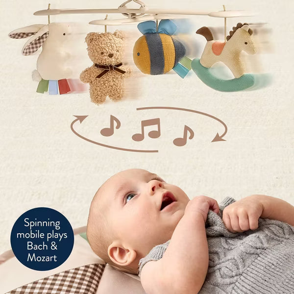 ITZY RITZY MUSIC & MOTION BABY ACTIVITY PLAY GYM