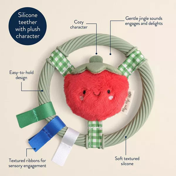 ITZY RITZY RING PAL BABY TEETHER TEETHERS ITZY RITZY