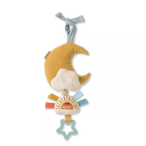 ITZY RITZY BITZY NOTES MUSICAL PULL-DOWN BABY LEARNING TOY TOY ITZY RITZY