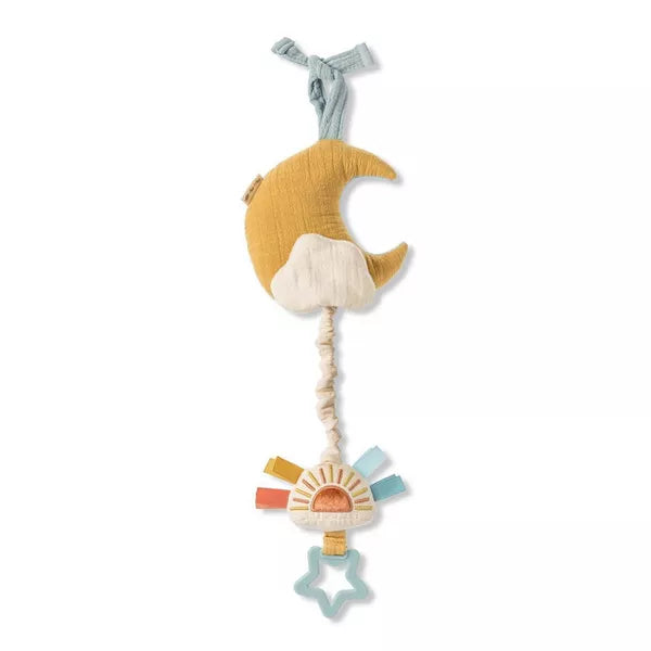 ITZY RITZY BITZY NOTES MUSICAL PULL-DOWN BABY LEARNING TOY TOY ITZY RITZY