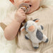 ITZY RITZY BITZY PAL PACIFIER 0-6M