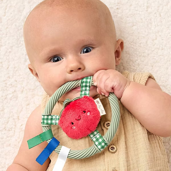 ITZY RITZY RING PAL BABY TEETHER TEETHERS ITZY RITZY