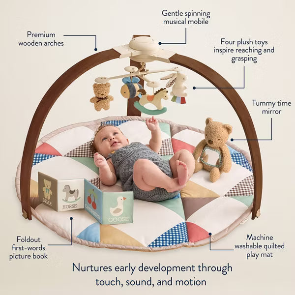 ITZY RITZY MUSIC & MOTION BABY ACTIVITY PLAY GYM