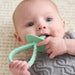 ITZY RITZY 2PK PRE-FEEDING TEETHER TOOLS TEETHERS ITZY RITZY