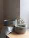 Basket Round with Jute Accent Storage & Organization Anzy Home