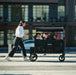 W6 Luxe Pro Stroller Wagon (6 Seater)