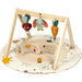 TINY LOVE GARDEN OF ADVENTURES LUXE DEVELOPMENTAL GYMINI WITH BOOK TOY TINY LOVE