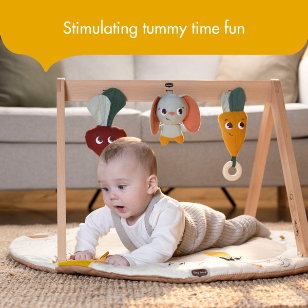 TINY LOVE GARDEN OF ADVENTURES LUXE DEVELOPMENTAL GYMINI WITH BOOK TOY TINY LOVE