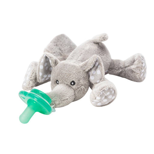 NOOKUMS PACI WITH ADAPTOR