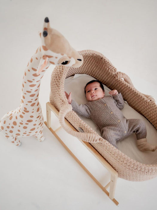 Standard Moses Basket with Round Hood Bassinets & Cradles Anzy Home