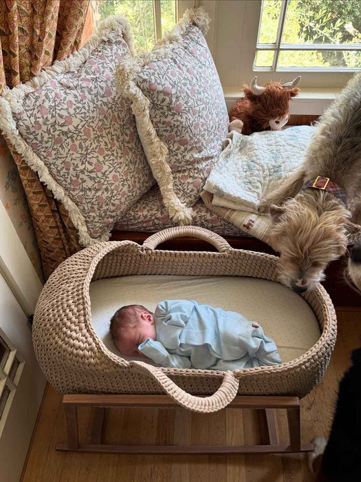 Standard Moses Basket with Round Hood