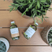 NOLEO Body Oil – Nourish, Soothe, and Restore Skin Naturally | 4oz Glass Bottle M4A