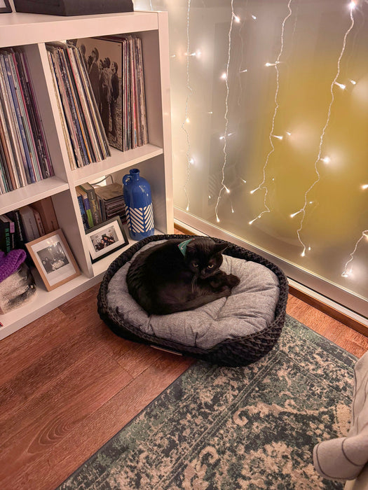 Personalized Recycled Cotton Pet Bed Pet Bed Anzy Home