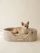 Personalized Cotton Pet Bed Ecru Only Pet Bed Pet Bed Anzy Home