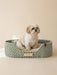 Personalized Cotton Pet Bed Sage Green Pet Bed Anzy Home