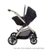 SILVER CROSS REEF 2 STROLLER + FOLDING BASSINET