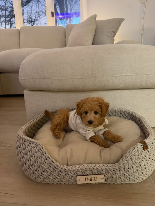 Personalized Recycled Cotton Pet Bed Beige Cord Pet Bed Anzy Home
