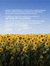 Sunflower Basket with Handles | SUNFLOWER signature collection Baskets Anzy Home