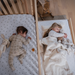 LULLA & LULLI CRIB TRUNDLE CRIB HUSHCRIB
