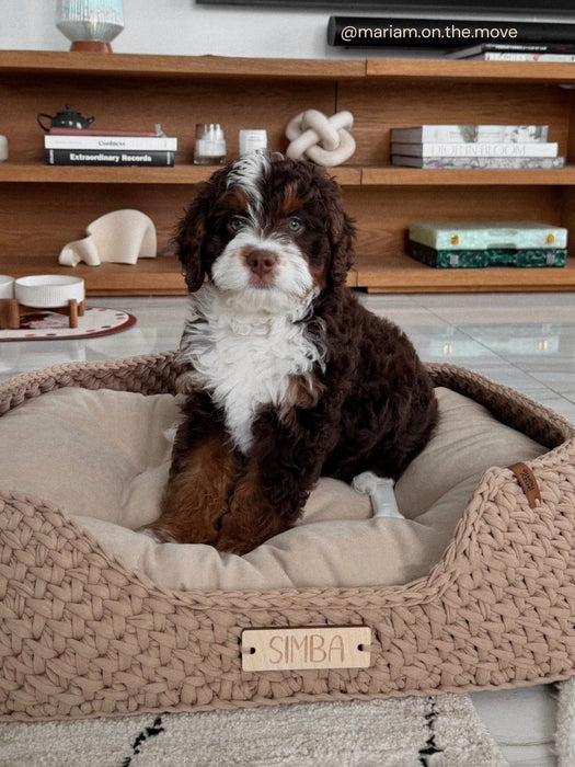 Personalized Cotton Pet Bed Pet Bed Anzy Home