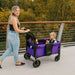 W1 Original Stroller Wagon (2 Seater)