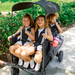 W4 Elite Pro Stroller Wagon (4 Seater)