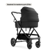 Mompush Wiz Pro