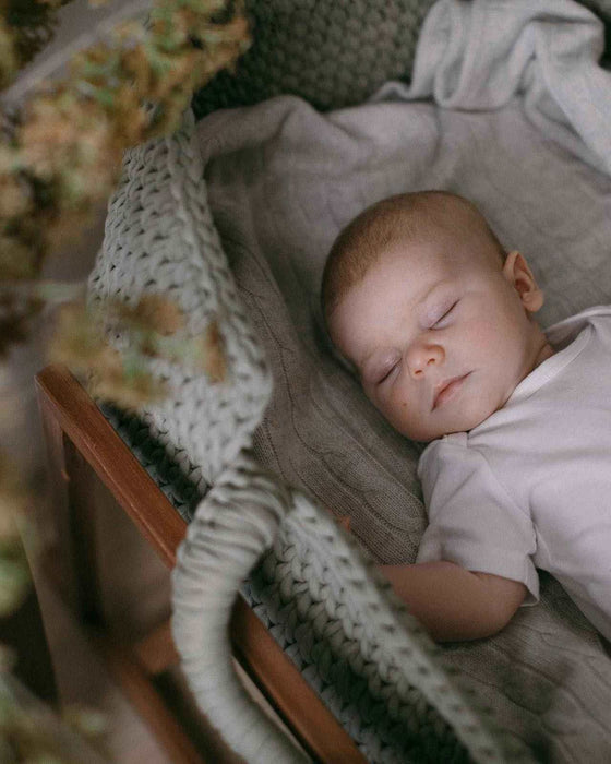 Essential Moses Basket Set Standard